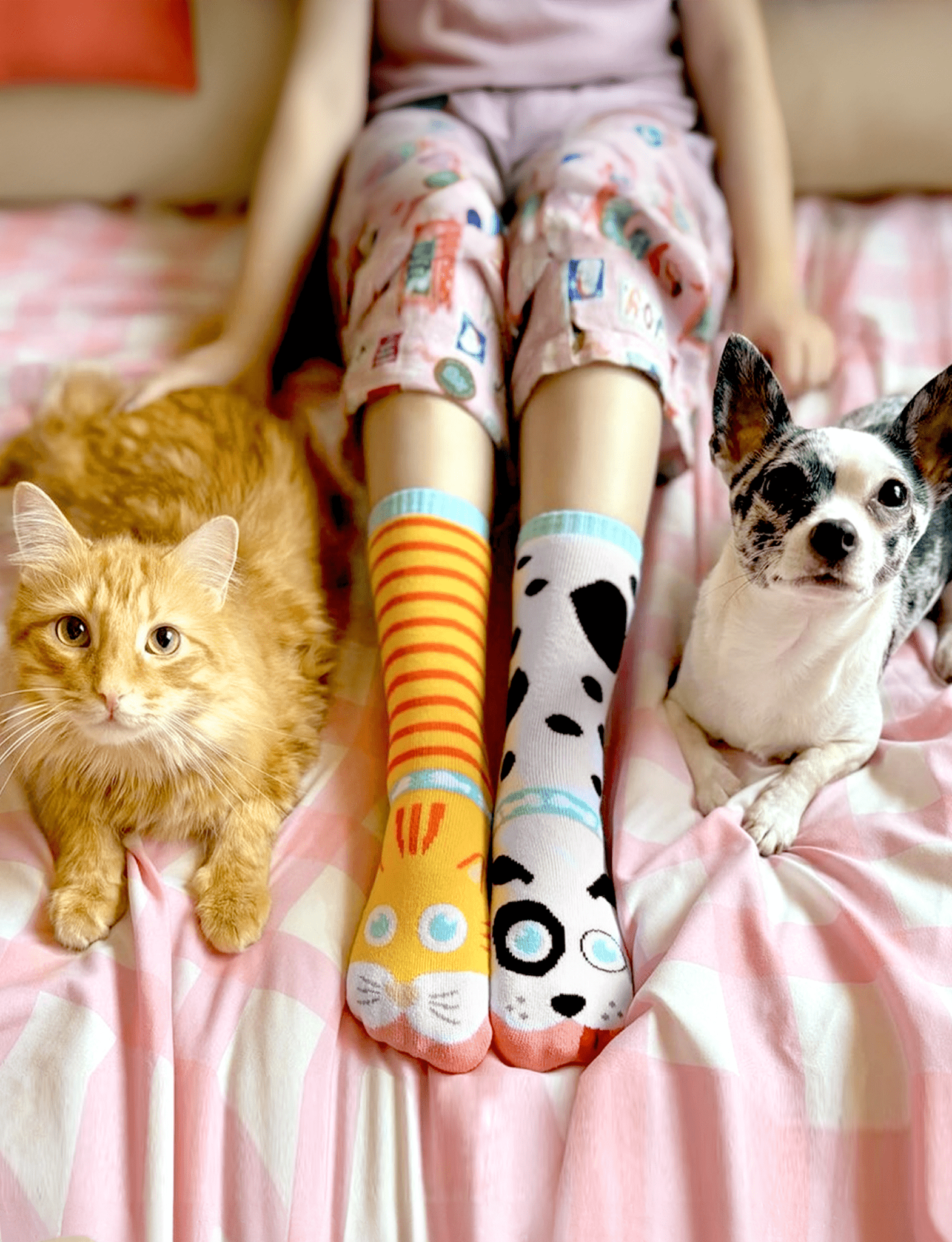 ADULT CAT & DOG SOCKS - R4T$ Clothing