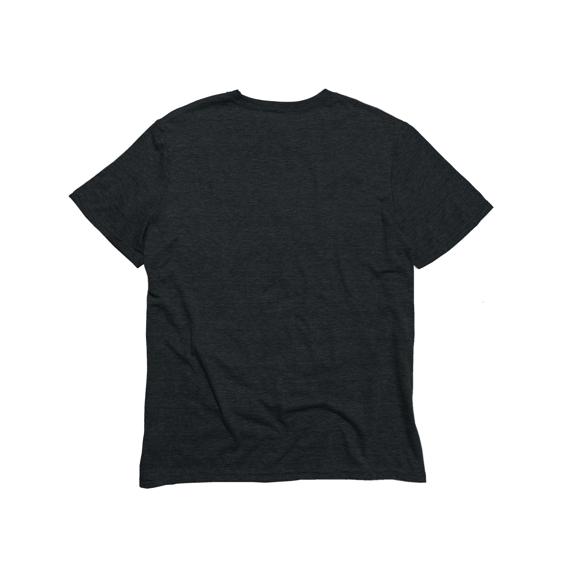 Unisex Eco - Triblend Short Sleeve V - Neck Tee - R4T$ Clothing