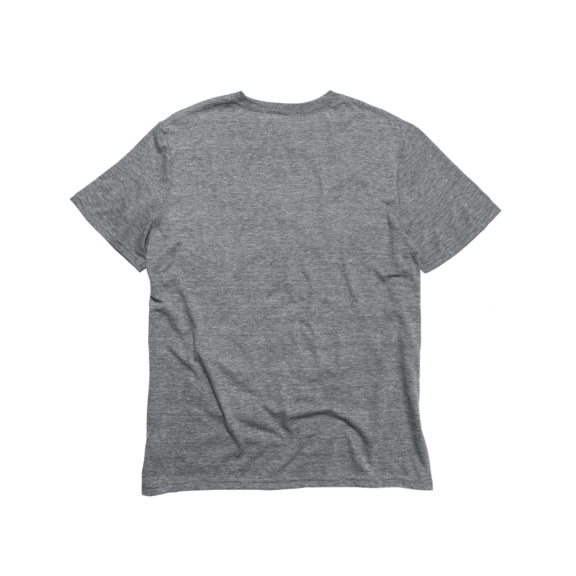 Unisex Eco - Triblend Short Sleeve V - Neck Tee - R4T$ Clothing